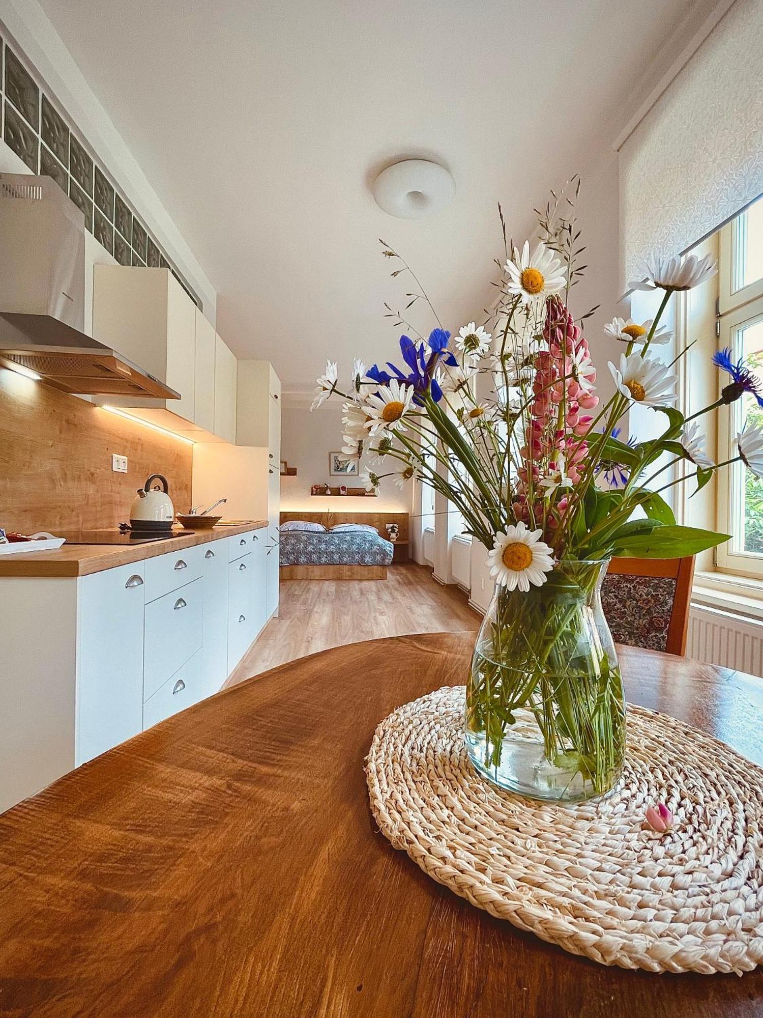 Apartmany Basta & Wellness Sušice エクステリア 写真