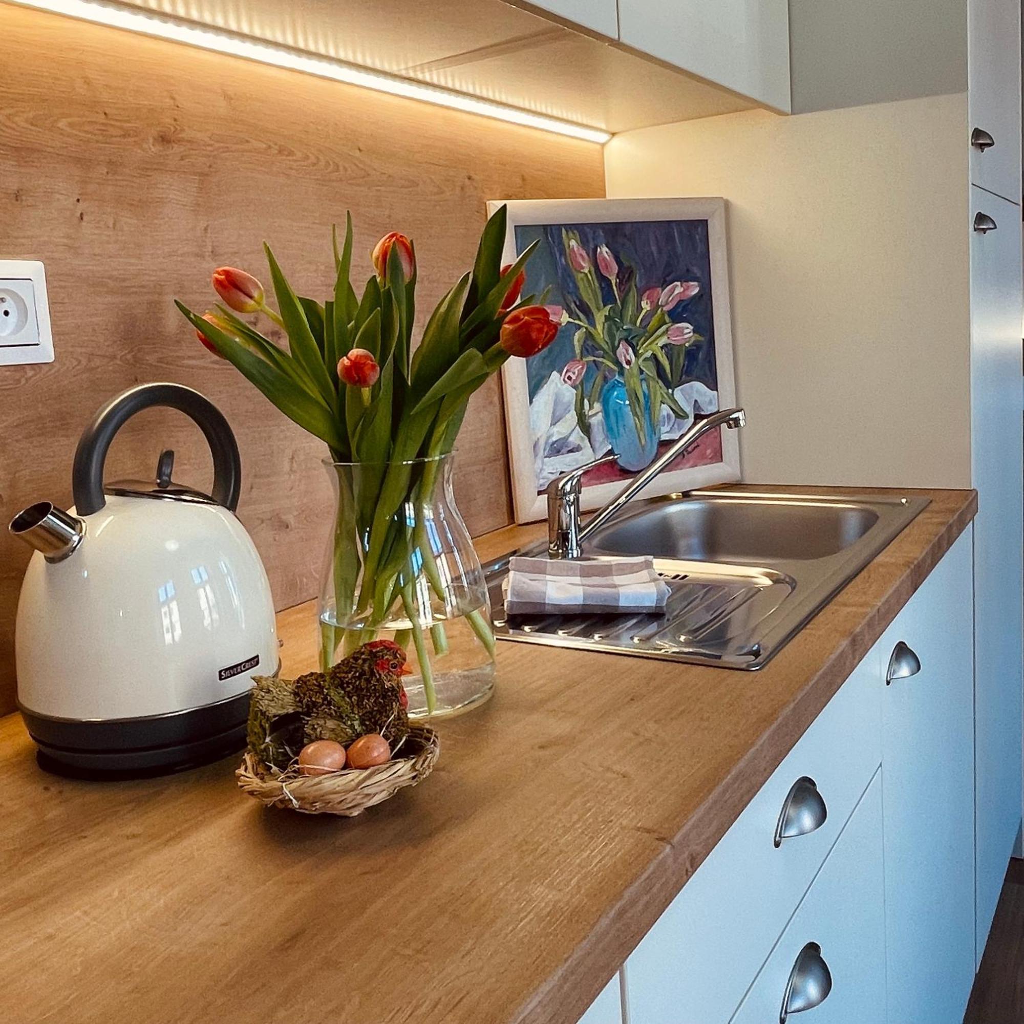 Apartmany Basta & Wellness Sušice エクステリア 写真